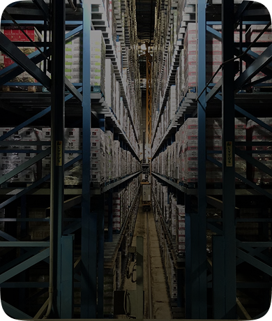 Supply Chain Analytics